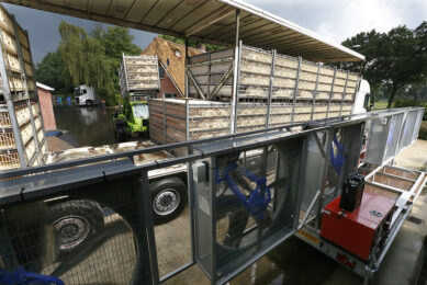 On top of heat protocols some transporters come up with additional tools to prevent heat stress. Photo: Hans Prinsen