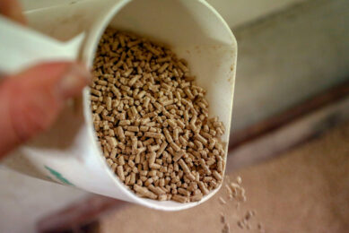 yeast supplementation
